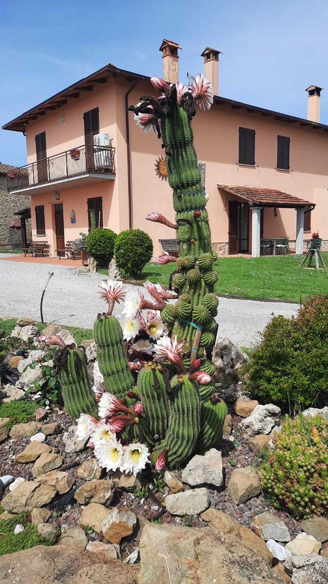 Il Casale Di Lucullo Villa Lucignano Exterior photo
